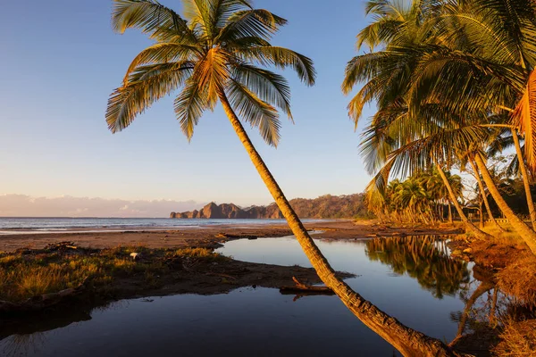 Bella Costa Tropicale Dell Oceano Pacifico Costa Rica — Foto Stock