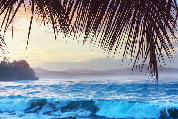 コスタリカの美しい熱帯太平洋沿岸 — ストック写真