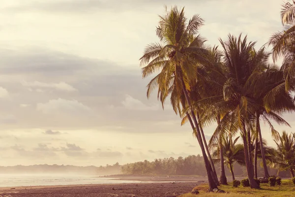 Hermosa Costa Tropical Del Océano Pacífico Costa Rica — Foto de Stock