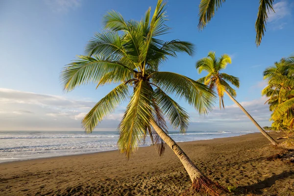 哥斯达黎加美丽的热带太平洋海岸 — 图库照片