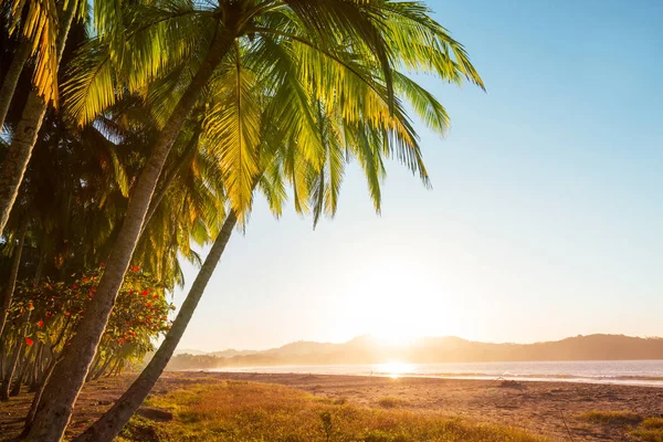 Vackra Tropiska Stilla Havskusten Costa Rica — Stockfoto