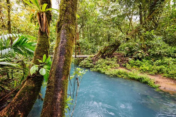 Bela Água Corrente Fluindo Para Baixo Floresta Tropical Costa Rica — Fotografia de Stock