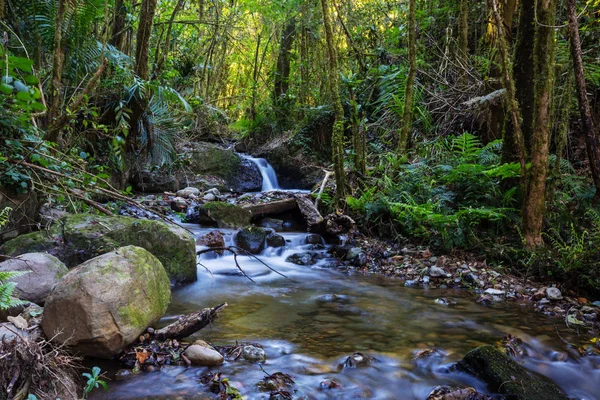 Bela Água Corrente Fluindo Para Baixo Floresta Tropical Costa Rica — Fotografia de Stock