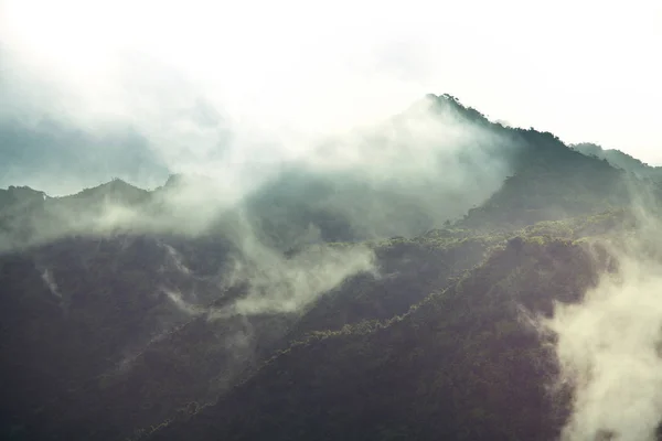 山上美丽的晨景 日出时的雾气 — 图库照片