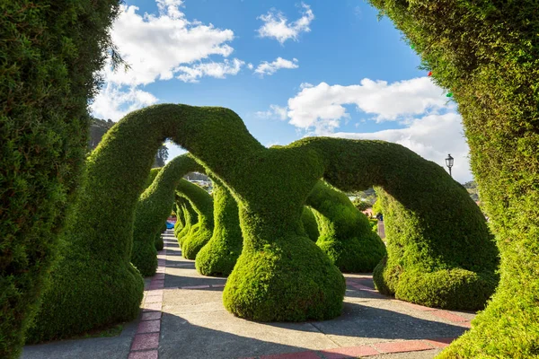 สวนสาธารณะท สวยงามในคอสตาร อเมร กากลาง — ภาพถ่ายสต็อก