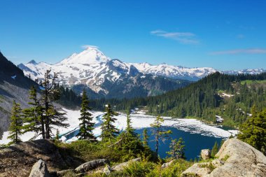 Mt. Baker dinlenme alanı, Washington, ABD