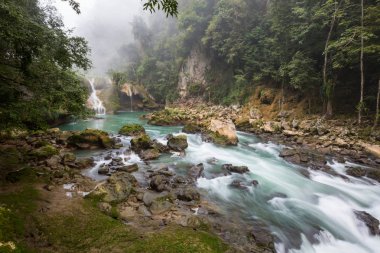 Semuc Champey, Lanquin, Guatemala, Orta Amerika 'daki güzel doğal havuzlar.