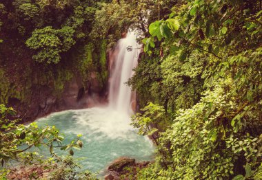 Kosta Rika yağmur ormanlarındaki görkemli şelale. Tropikal yürüyüş.