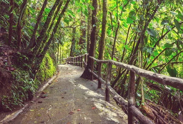 Misty Rainforest Costa Rica Central America — Stock Photo, Image