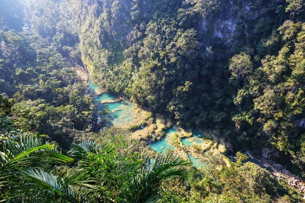 中美洲危地马拉兰金Semuc Champey美丽的天然游泳池 — 图库照片