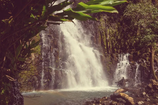 Cachoeira Majestosa Selva Floresta Tropical Costa Rica Caminhada Tropical — Fotografia de Stock