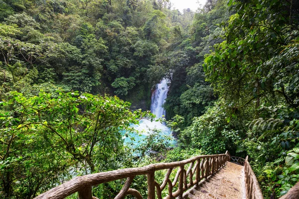 コスタリカの熱帯雨林ジャングルの中の壮大な滝 熱帯ハイキング — ストック写真