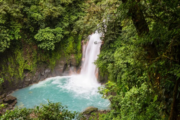 Majestätiskt Vattenfall Regnskogsdjungeln Costa Rica Tropisk Vandring — Stockfoto