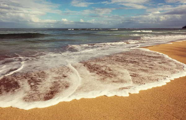 Une Vague Bleue Sur Plage Fond Flou Taches Lumière Soleil — Photo