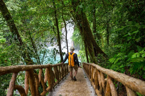 Yeşil Tropikal Ormanda Yürüyüş Kosta Rika Orta Amerika — Stok fotoğraf