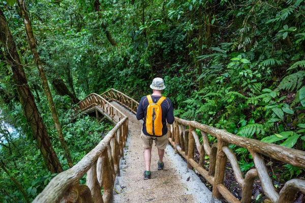 Hiking in green tropical jungle, Costa Rica, Central America