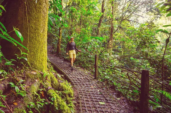 Escursioni Nella Verde Giungla Tropicale Costa Rica America Centrale — Foto Stock