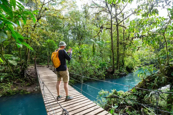Caminhadas Selva Tropical Verde Costa Rica América Central — Fotografia de Stock