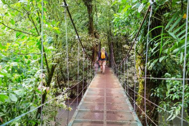 Hiking in green tropical jungle, Costa Rica, Central America clipart