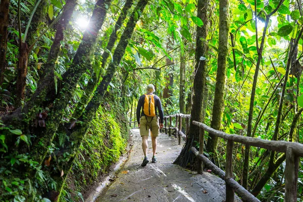 Пешие Прогулки Зеленых Тропических Джунглях Коста Рика Центральная Америка — стоковое фото