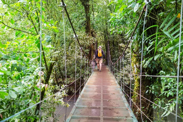 Hiking Green Tropical Jungle Costa Rica Central America — Stock Photo, Image