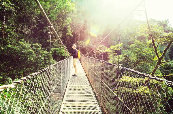 Randonnée Dans Jungle Tropicale Verte Costa Rica Amérique Centrale — Photo