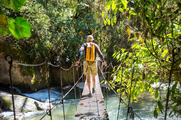 Hiking in green tropical jungle, Costa Rica, Central America