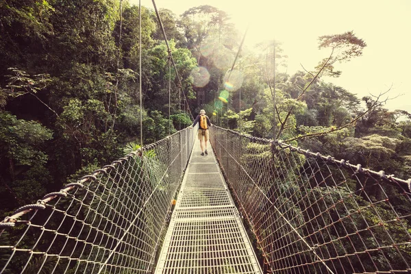 Turystyka Zielonej Tropikalnej Dżungli Kostaryka Ameryka Środkowa — Zdjęcie stockowe