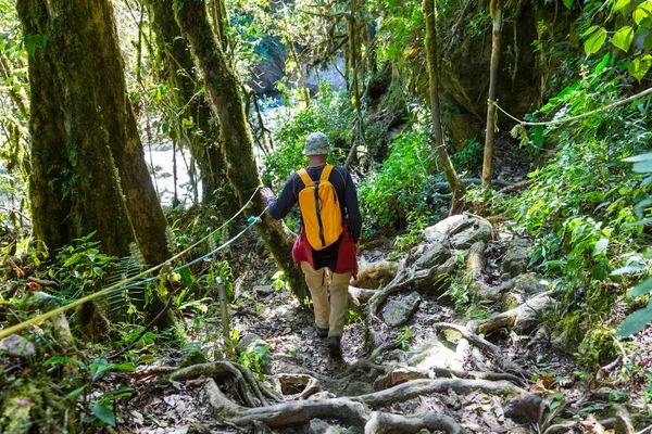 Hiking in green tropical jungle, Costa Rica, Central America