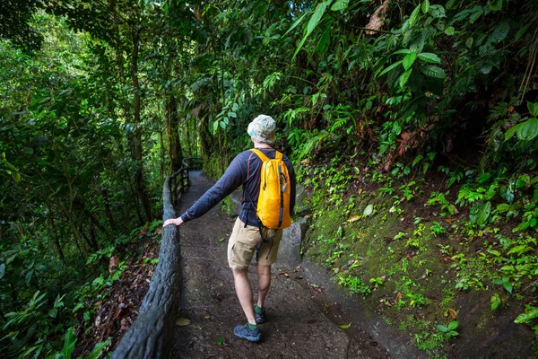 Hiking in green tropical jungle, Costa Rica, Central America