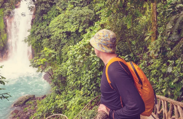 Majestic Waterfall Rainforest Jungle Costa Rica Tropical Hike — Stock Photo, Image