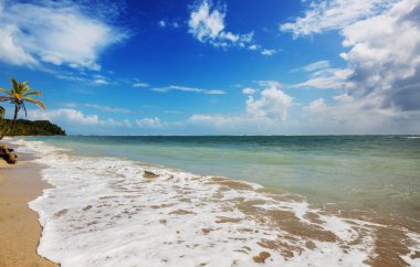 Kosta Rika 'daki güzel tropikal Pasifik Okyanusu kıyısı