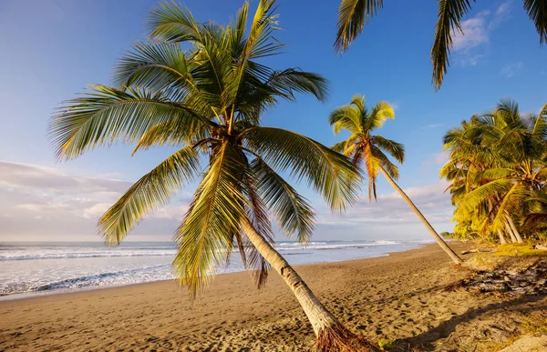 Hermosa Costa Tropical Del Océano Pacífico Costa Rica — Foto de Stock