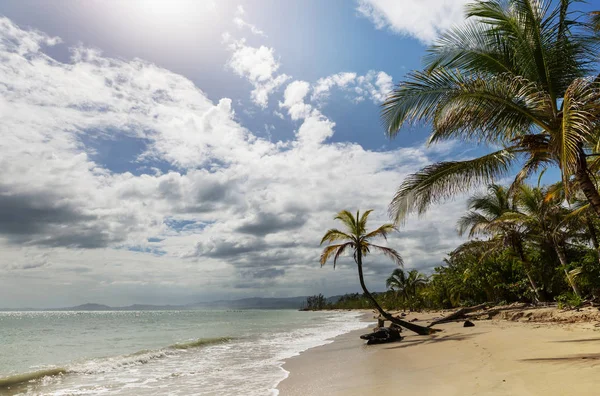 Krásné Tropické Pobřeží Tichého Oceánu Kostarice — Stock fotografie
