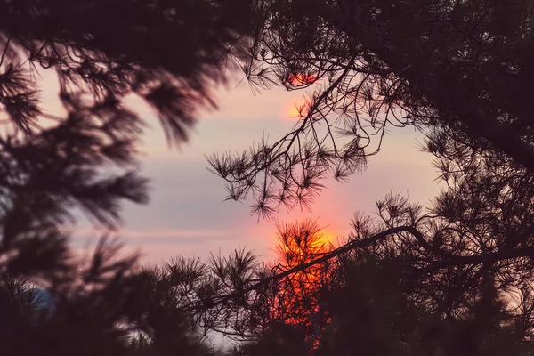 Sonnenuntergang Szene Schöne Naturlandschaften — Stockfoto