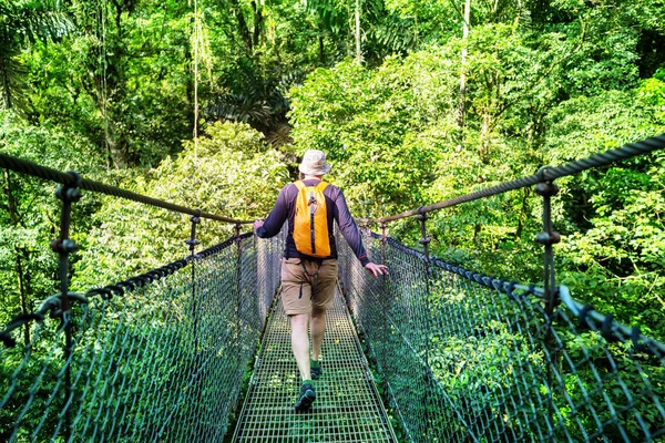 Hiking in green tropical jungle, Costa Rica, Central America