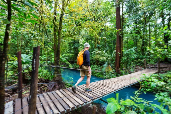 Hiking Green Tropical Jungle Costa Rica Central America — Stock Photo, Image