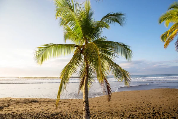 Serenità Sulla Spiaggia Tropicale — Foto Stock