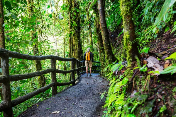 Hiking in green tropical jungle, Costa Rica, Central America