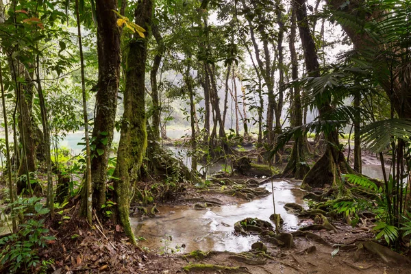 Hermosas Piscinas Naturales Semuc Champey Lanquin Guatemala América Central — Foto de Stock