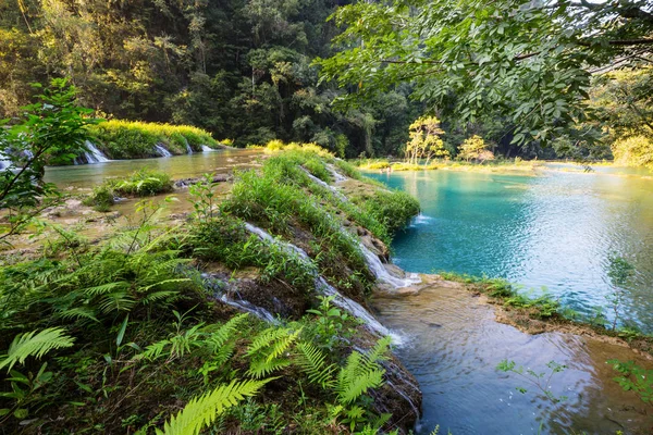 Красивые Природные Бассейны Semuc Champey Lanquin Гватемала Центральная Америка — стоковое фото