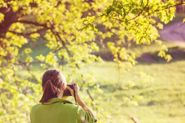 Foto Frühling Wald Rückansicht — Stockfoto