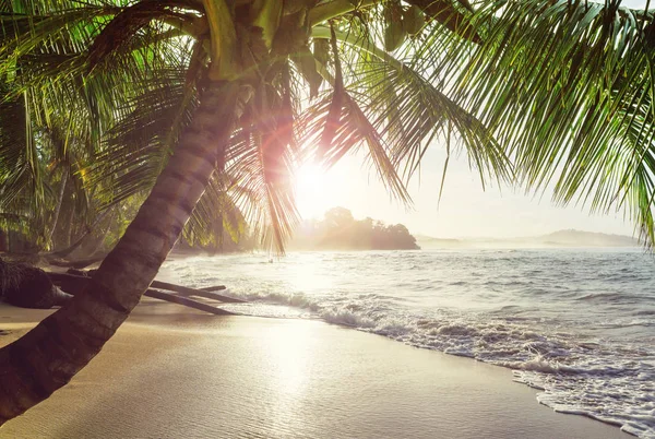 Hermosa Costa Tropical Del Océano Pacífico Costa Rica — Foto de Stock