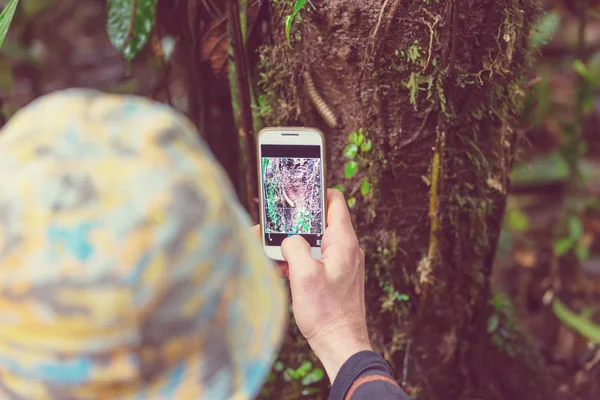 Man Making Photo Jungle Hawaii Nature Recreation — Stock Photo, Image