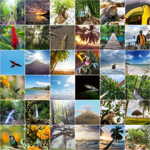 A collage of diverse landscape and animal images  of Costa Rica.