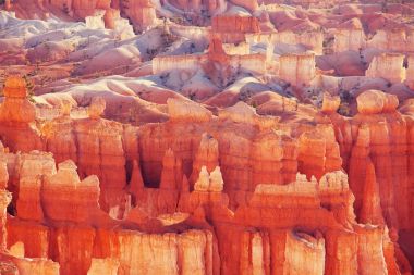 Utah, ABD 'deki Bryce Canyon Ulusal Parkı' nın renkli pembe kayaları.