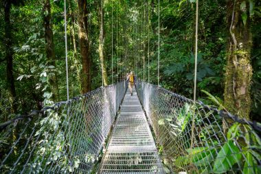Yeşil tropikal ormanda yürüyüş, Kosta Rika, Orta Amerika