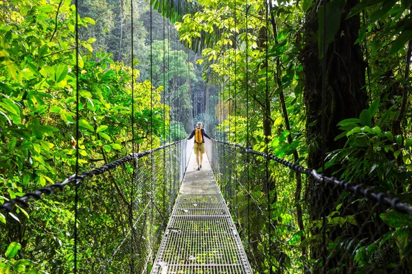 Senderismo Selva Tropical Verde Costa Rica América Central —  Fotos de Stock
