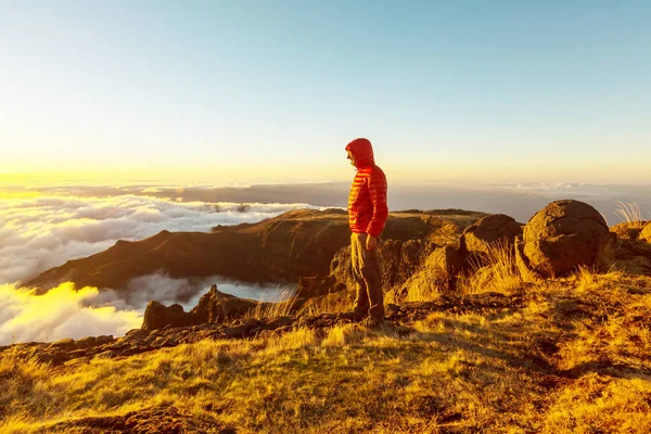 Wandern Auf Der Insel Madeira Portugal — Stockfoto