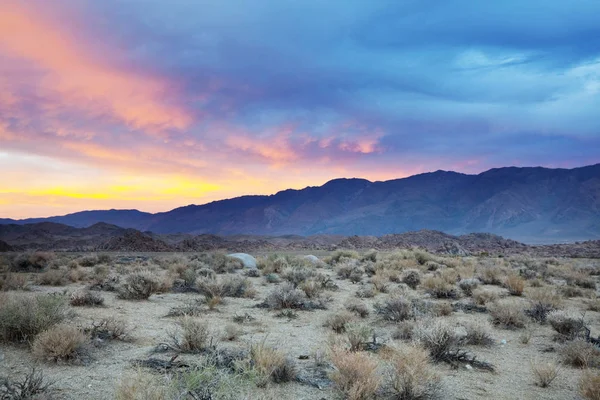 大草原の風景の自然の風景 — ストック写真